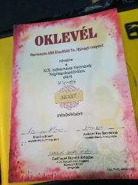A Kisalföld Táncegyüttes 2021.évi pályázata időszakának főbb tevékenységei_Oldal_01_Kép_0007